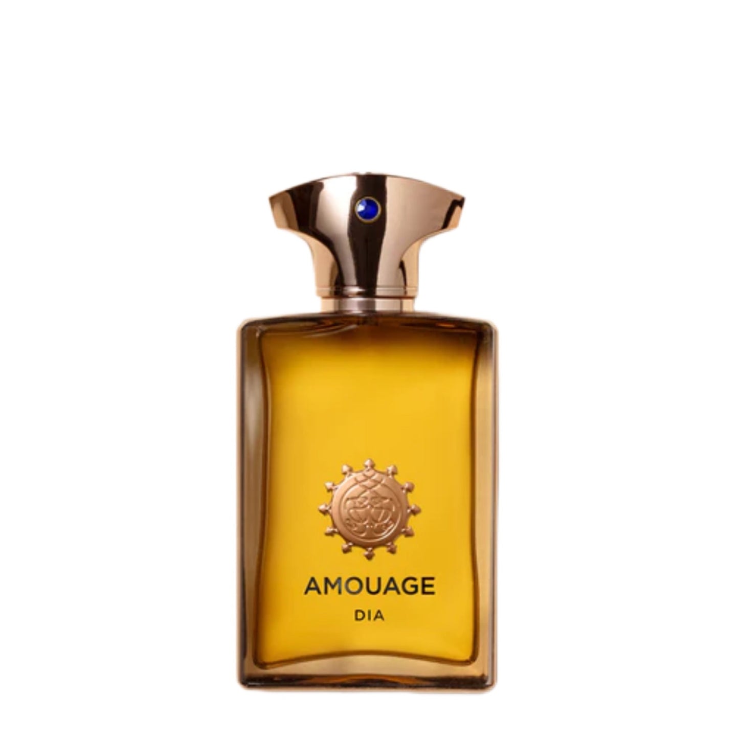 AMOUAGE DIA MAN EDP 100ML (SCATOLATO)