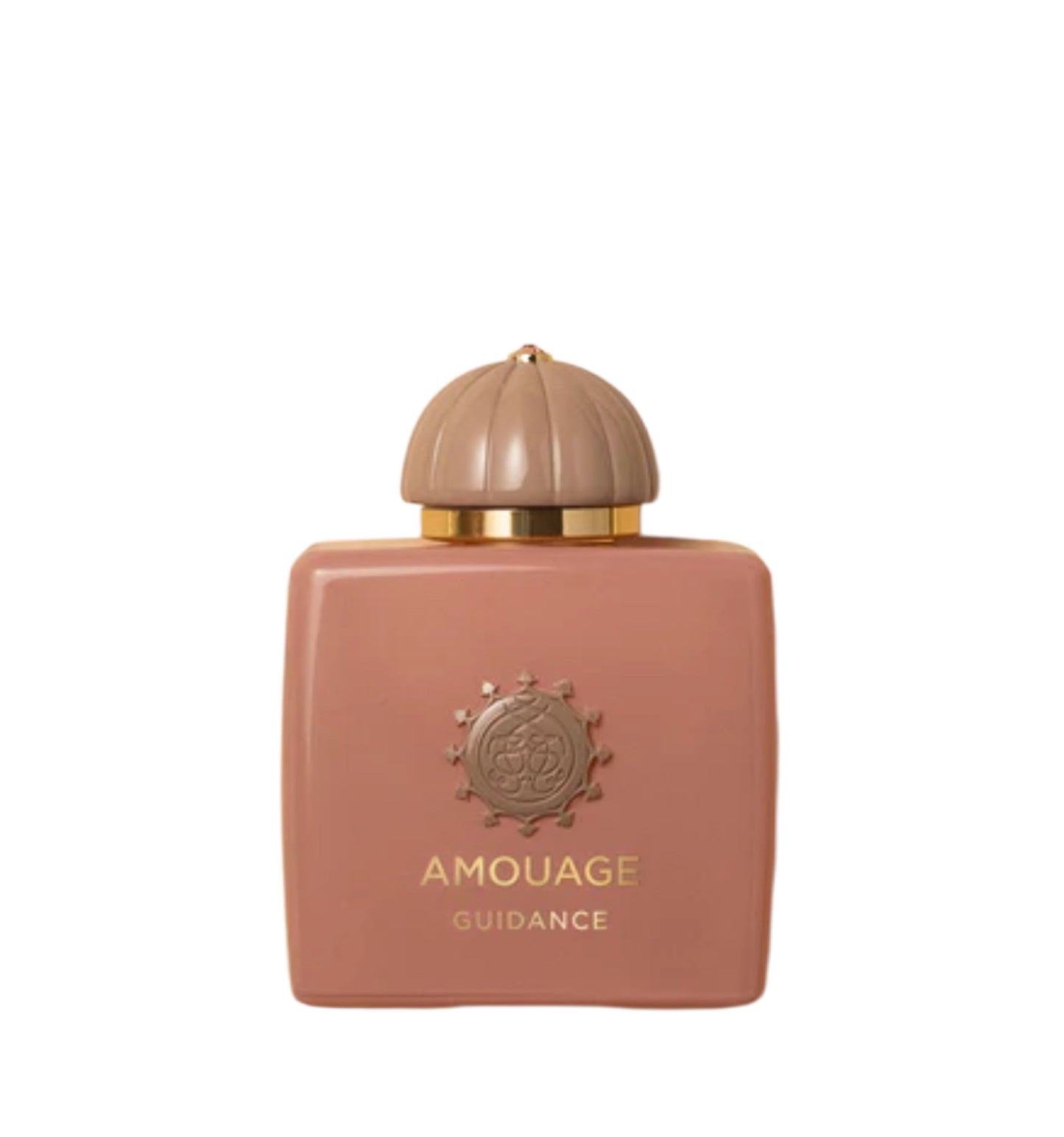 AMOUAGE GUIDANCE EDP 100ML (SCATOLATO)